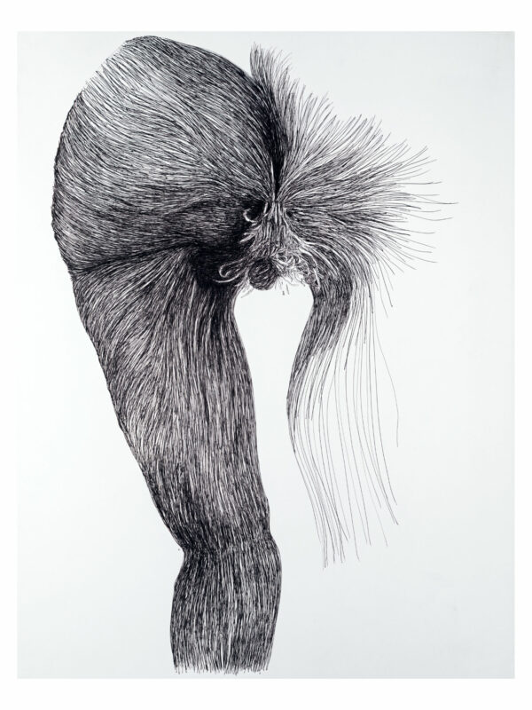 Entre autres, dessin 1