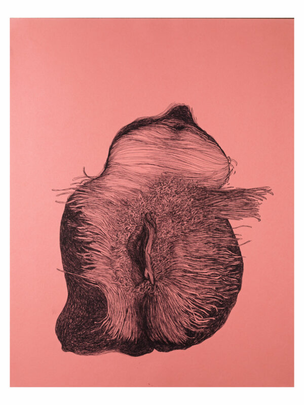 Entre Autres, dessin 4