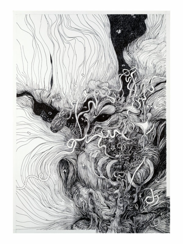 Paysages Intérieurs, dessin 3