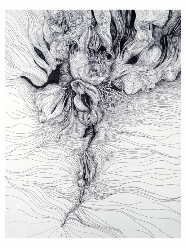 Paysages Intérieurs, dessin 13