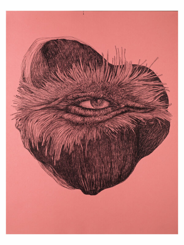 Entre Autres, dessin 6